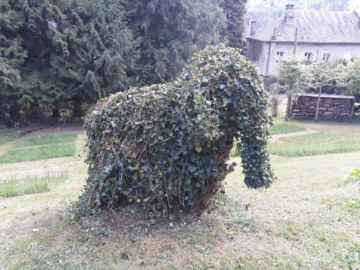 Le Parc Des 4 Saisons Bed & Breakfast Correze Exterior photo